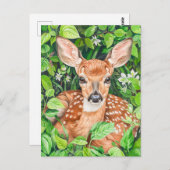 緑豊かな牧草地の小さな鹿 ポストカード (正面/裏面)
