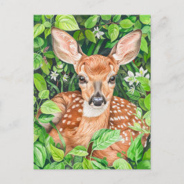 緑豊かな牧草地の小さな鹿 ポストカード