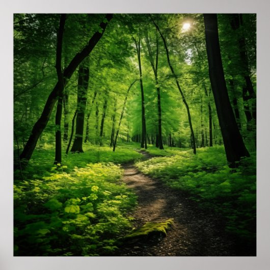 緑豊かな絵画夏の森の水彩画 ポスター (正面)