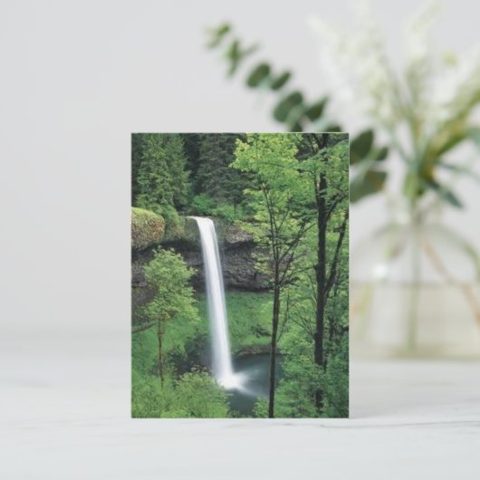 緑豊かな緑に囲まれた滝 ポストカード (スタンド正面)