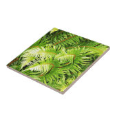 緑豊かな緑のシダの葉 タイル (側面)