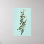 緑豊かな緑のローズマリー絵画スプリング キャンバスプリント (正面)