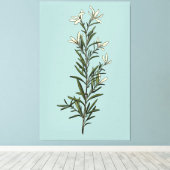 緑豊かな緑のローズマリー絵画スプリング キャンバスプリント (インサイチュ (ウッドフロア))