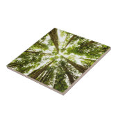 緑豊かな緑の熱帯雨林 タイル (側面)