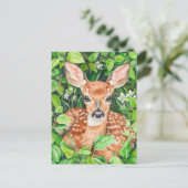 緑豊かな草原の子鹿 ポストカード (スタンド正面)