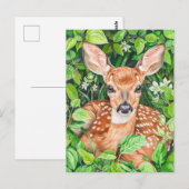 緑豊かな草原の子鹿 ポストカード (正面/裏面)