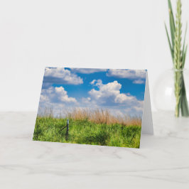 緑豊かな農地、南アフリカ共和国 シーズンカード