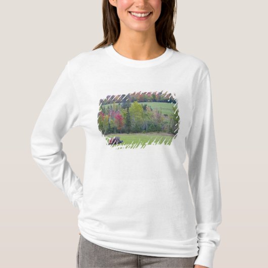 緑豊かな野原で干し草を運ぶトラクター Tシャツ (正面)