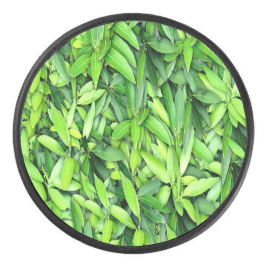緑豊かな離れグリーン自然模様 – Botanical アイスホッケーパック (正面)