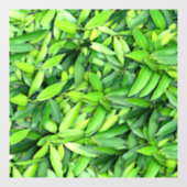 緑豊かな離れグリーン自然模様 – Botanical ウィンドウサイン (シート)