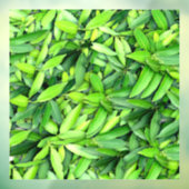 緑豊かな離れグリーン自然模様 – Botanical ウィンドウサイン (シート3)