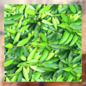 緑豊かな離れグリーン自然模様 – Botanical ウィンドウサイン (シート2)