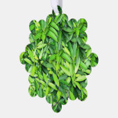 緑豊かな離れグリーン自然模様 – Botanical オーナメントカード (左)