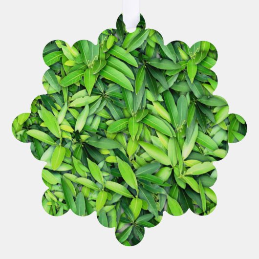 緑豊かな離れグリーン自然模様 – Botanical オーナメントカード (裏面)