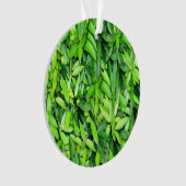 緑豊かな離れグリーン自然模様 – Botanical オーナメント (正面)