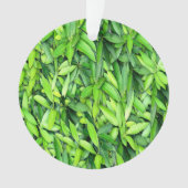 緑豊かな離れグリーン自然模様 – Botanical オーナメント (正面)