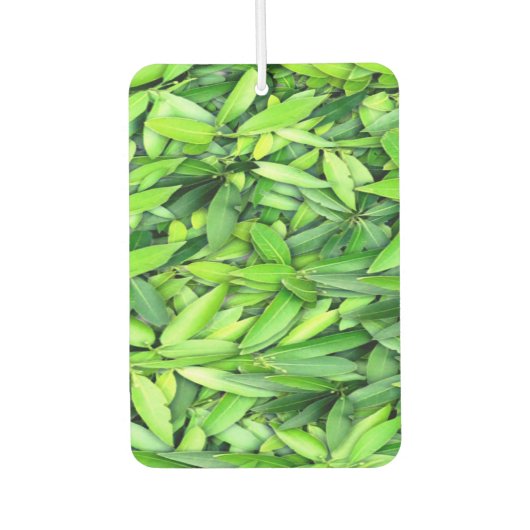緑豊かな離れグリーン自然模様 – Botanical カーエアーフレッシュナー (正面)
