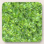 緑豊かな離れグリーン自然模様 – Botanical コースター (正面)