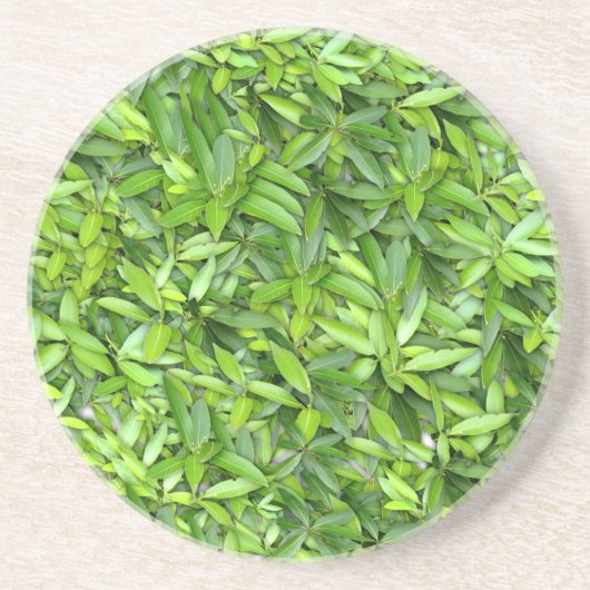 緑豊かな離れグリーン自然模様 – Botanical コースター (正面)