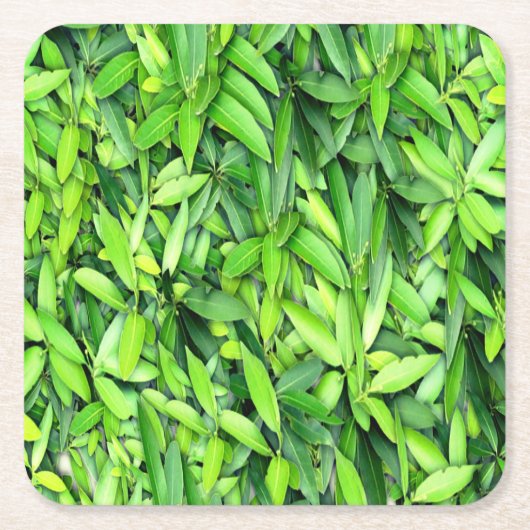 緑豊かな離れグリーン自然模様 – Botanical スクエアペーパーコースター (正面)