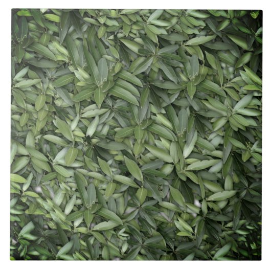 緑豊かな離れグリーン自然模様 – Botanical タイル (正面)