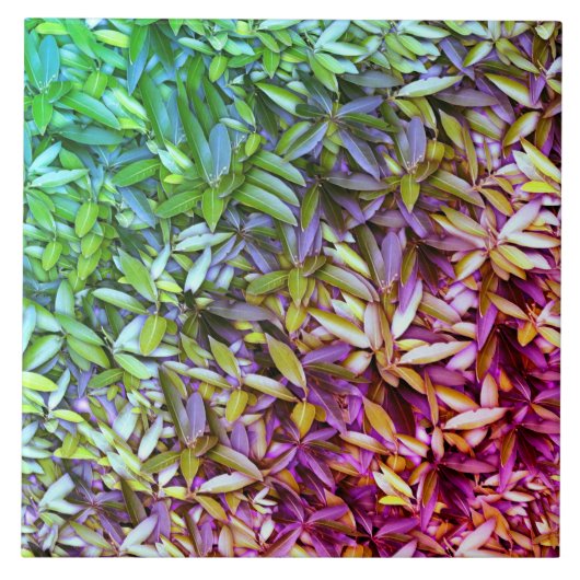 緑豊かな離れグリーン自然模様 – Botanical タイル (正面)