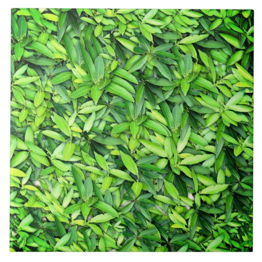緑豊かな離れグリーン自然模様 – Botanical タイル (正面)