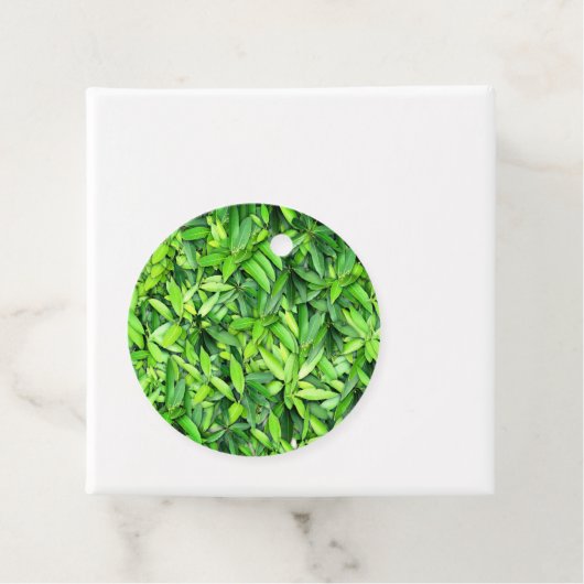 緑豊かな離れグリーン自然模様 – Botanical フェイバータグ (インサイチュ)