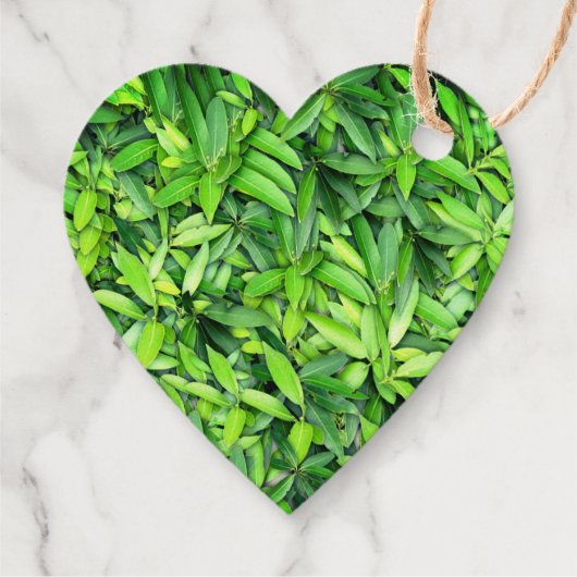 緑豊かな離れグリーン自然模様 – Botanical フェイバータグ (裏面)