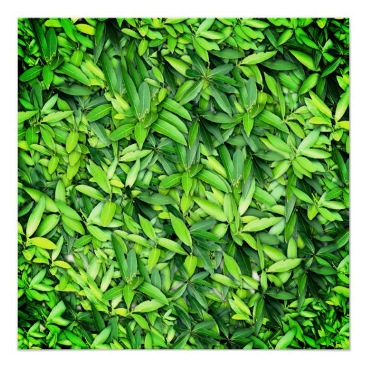 緑豊かな離れグリーン自然模様 – Botanical ポスター (正面)