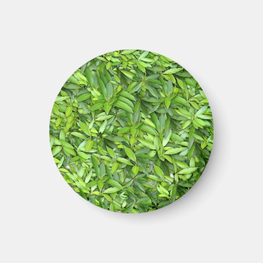 緑豊かな離れグリーン自然模様 – Botanical マグネット (正面)
