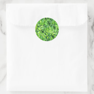緑豊かな離れグリーン自然模様 – Botanical ラウンドシール
