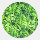 緑豊かな離れグリーン自然模様 – Botanical ラウンドシール (正面)