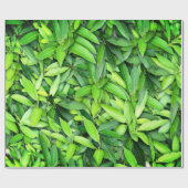 緑豊かな離れグリーン自然模様 – Botanical ラッピングペーパー (フラット)