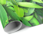 緑豊かな離れグリーン自然模様 – Botanical ラッピングペーパー (ロールコーナー)