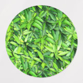 緑豊かな離れグリーン自然模様 – Botanical ラベル (デザイン1)