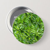 緑豊かな離れグリーン自然模様 – Botanical 缶バッジ (正面&裏面)