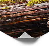 緑豊かな静かな森林湿原 ポスター (角)