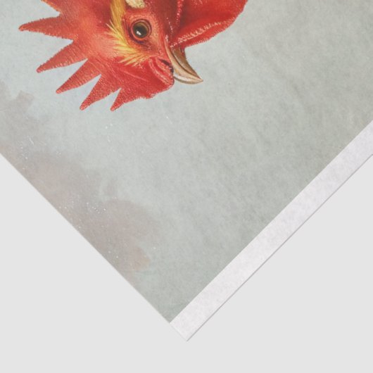 緑豊威厳のあるかな自然の森の中でポーズをとる鶏 薄葉紙 (詳細)