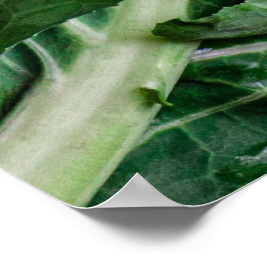 緑野菜 ポスター (角)