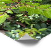 緑離れのプリント-自然のクローズアップ ポスター (角)