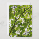 緑離れの結婚式日付カードを保存 セーブザデート (裏面)