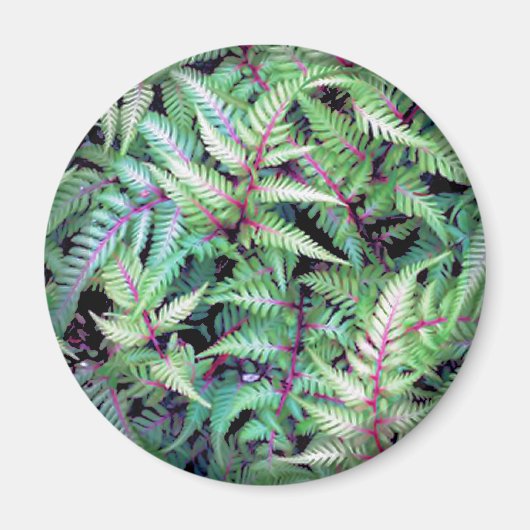 緑離れの茎、紫の茎by SHARON SHARPE MUG マグネット (正面)