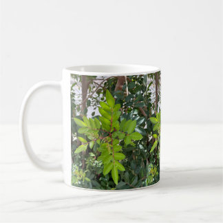 緑離れのMug - Botanical Photo from Tenerife コーヒーマグカップ