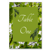 緑離れ結婚の表番号 テーブルナンバー (裏面)