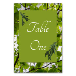 緑離れ結婚の表番号 テーブルナンバー