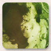 緑霜の降りた コースター (正面)