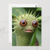 緑風変わりおもしろいの生物 ポストカード (正面/裏面)