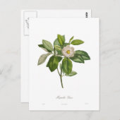 緑黄斑病 ポストカード (正面/裏面)