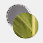 緑01 マグネット (正面/裏面)